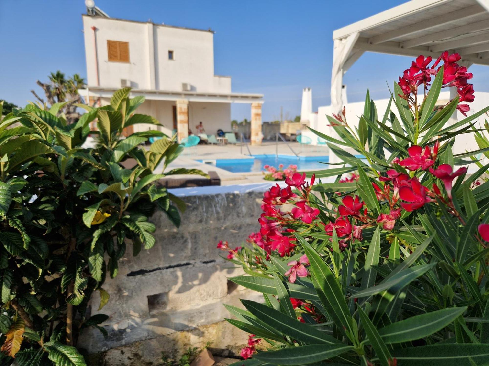Bed and Breakfast La Dimora Dei Conti Collemeto Exterior foto